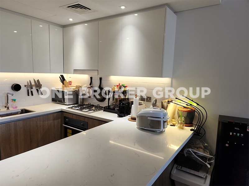 Luxurious 2bed Apt | Fully Furnished | For Rent